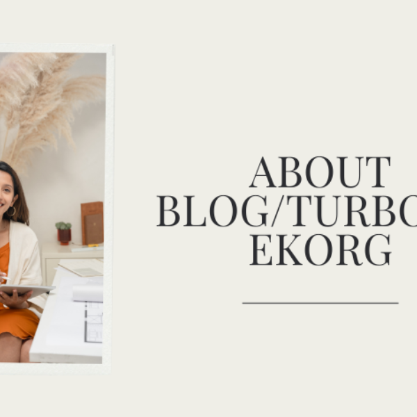 about blog turbogeekorg