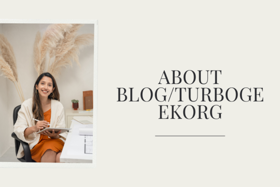 about blog turbogeekorg